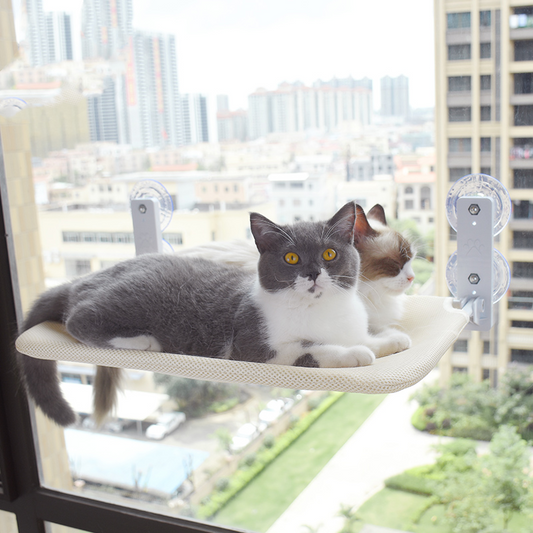 Cat Skyline™