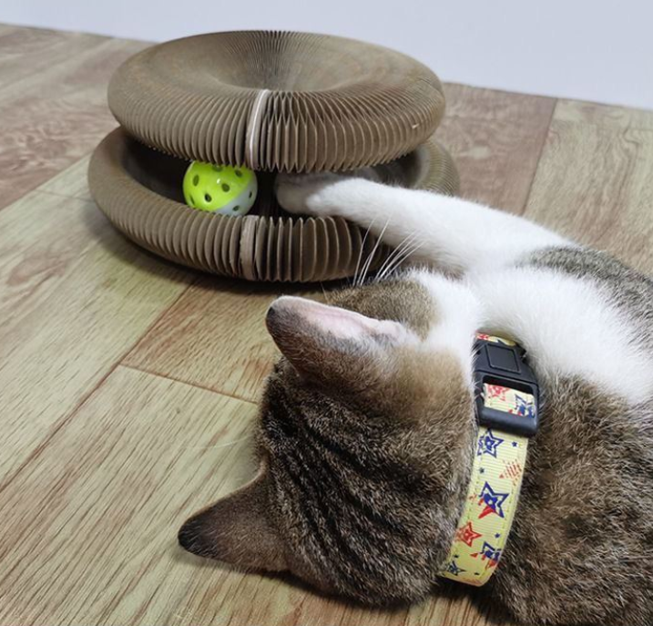 Cat Buster™