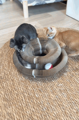 Cat Buster™